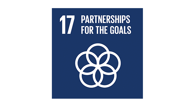 SDG 17 Vignette
